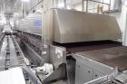 Babbco Direct Fired Tunnel Oven